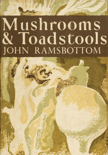 Mushrooms and Toadstools: A Study of the Activities of Fungi