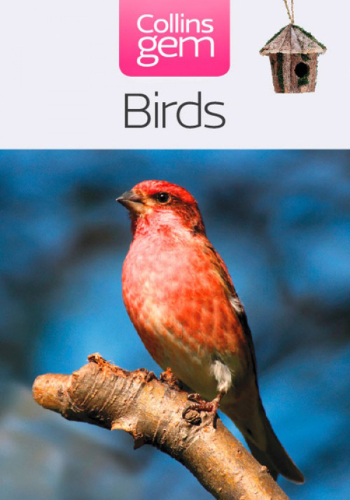 Birds (Collins Gem)