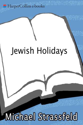 The Jewish holidays: a guide and commentary