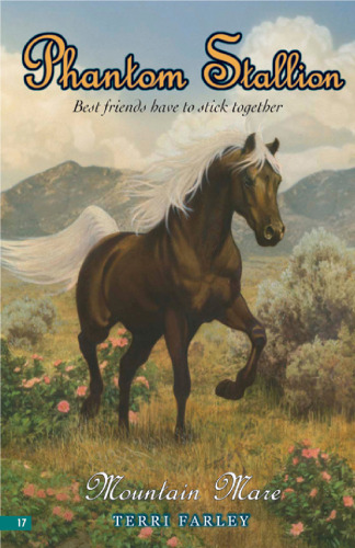 Phantom Stallion #17: Mountain Mare