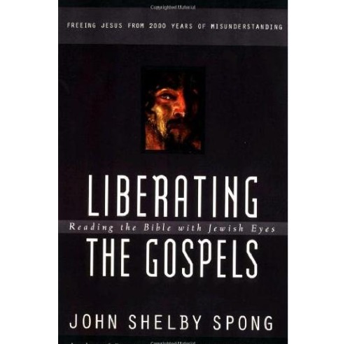 Liberating the Gospels: Reading the Bible with Jewish Eyes