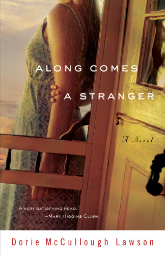 Along Comes a Stranger: A Novel