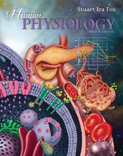 Human physiology