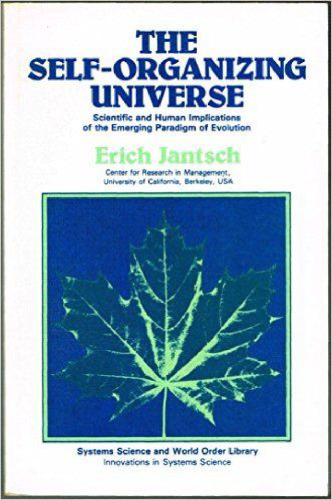 The Self-Organizing Universe: Scientific and Human Implications for the Emerging Paradigm of Evolution