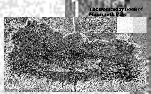 The Domesday book of mammoth pike /