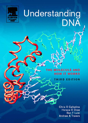 Understanding DNA-The Molecule and How It Works