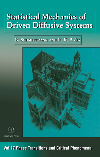 Statistical Mechanics of Driven Diffusive System