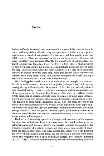 Sodium Sulfate: Handbook of Deposits, Processing, & Use