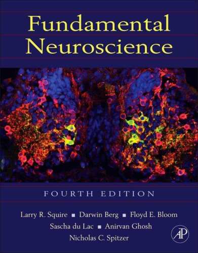 Fundamental Neuroscience, Fourth Edition