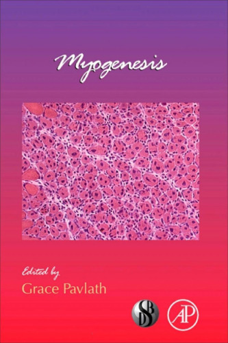 Myogenesis