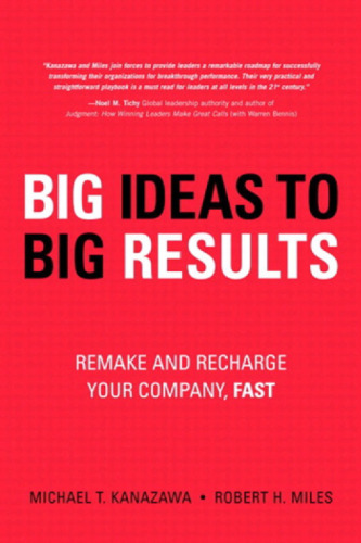 BIG Ideas to BIG Results: Remake and Recharge Your Company, Fast