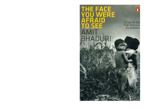 The face you were afraid to see: essays on the Indian economy