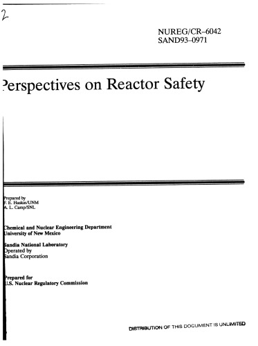 Perspectives on reactor safety