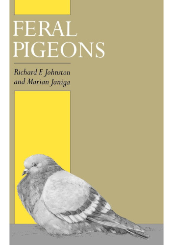Feral Pigeons