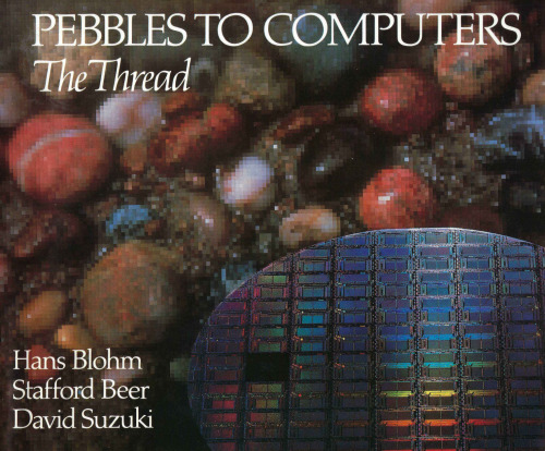 Pebbles to Computers: The Thread
