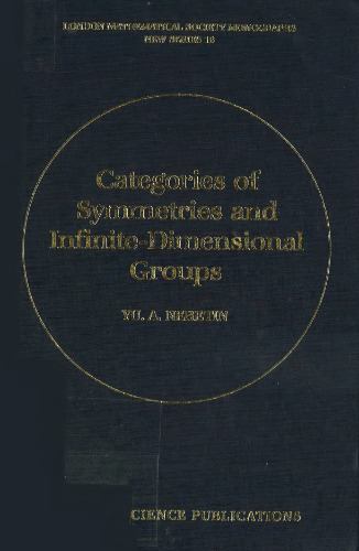 Categories of Symmetries and Infinite-Dimensional Groups