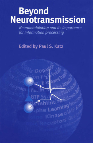 Beyond Neurotransmission: Neuromodulation and Its Importance for Information Processing