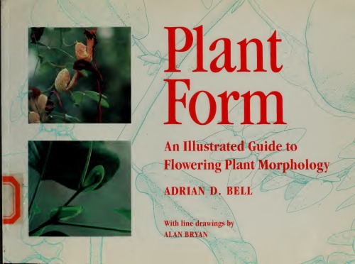 Plant form: an illustrated guide to flowering plant morphology