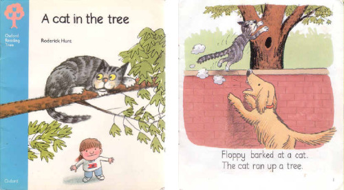 A Cat in the Tree