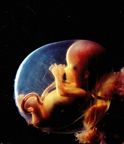 A Child is Born