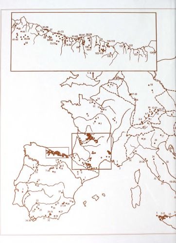 The Nature of Paleolithic Art