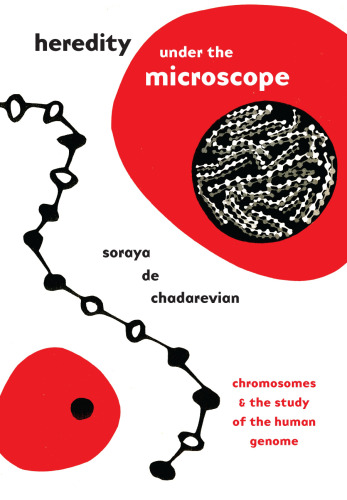 Heredity under the Microscope: Chromosomes and the Study of the Human Genome