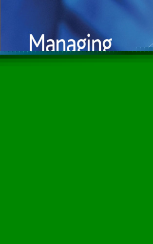 Managing Social Businesses: Mission, Governance, Strategy and Accountability