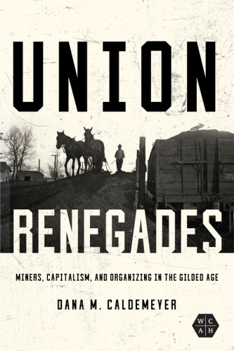 Union Renegades: Miners, Capitalism, and Organizing in the Gilded Age