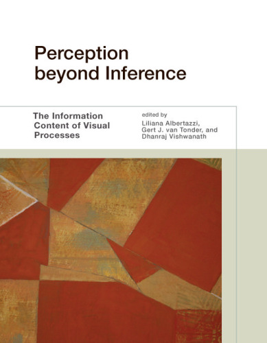 Perception beyond Inference: The Information Content of Visual Processes