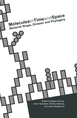 Molecules in time and space: bacterial shape, division, and phylogeny