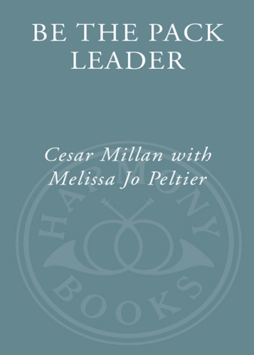 Be the Pack Leader