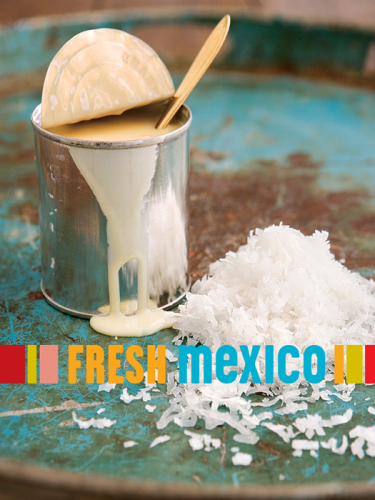 Fresh Mexico: 100 Simple Recipes for True Mexican Flavor