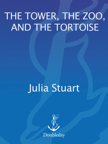 The Tower, the Zoo, and the Tortoise