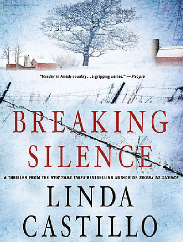 Breaking Silence (Kate Burkholder)