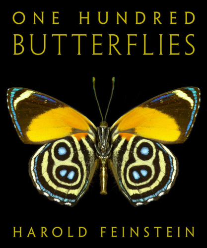 One Hundred Butterflies