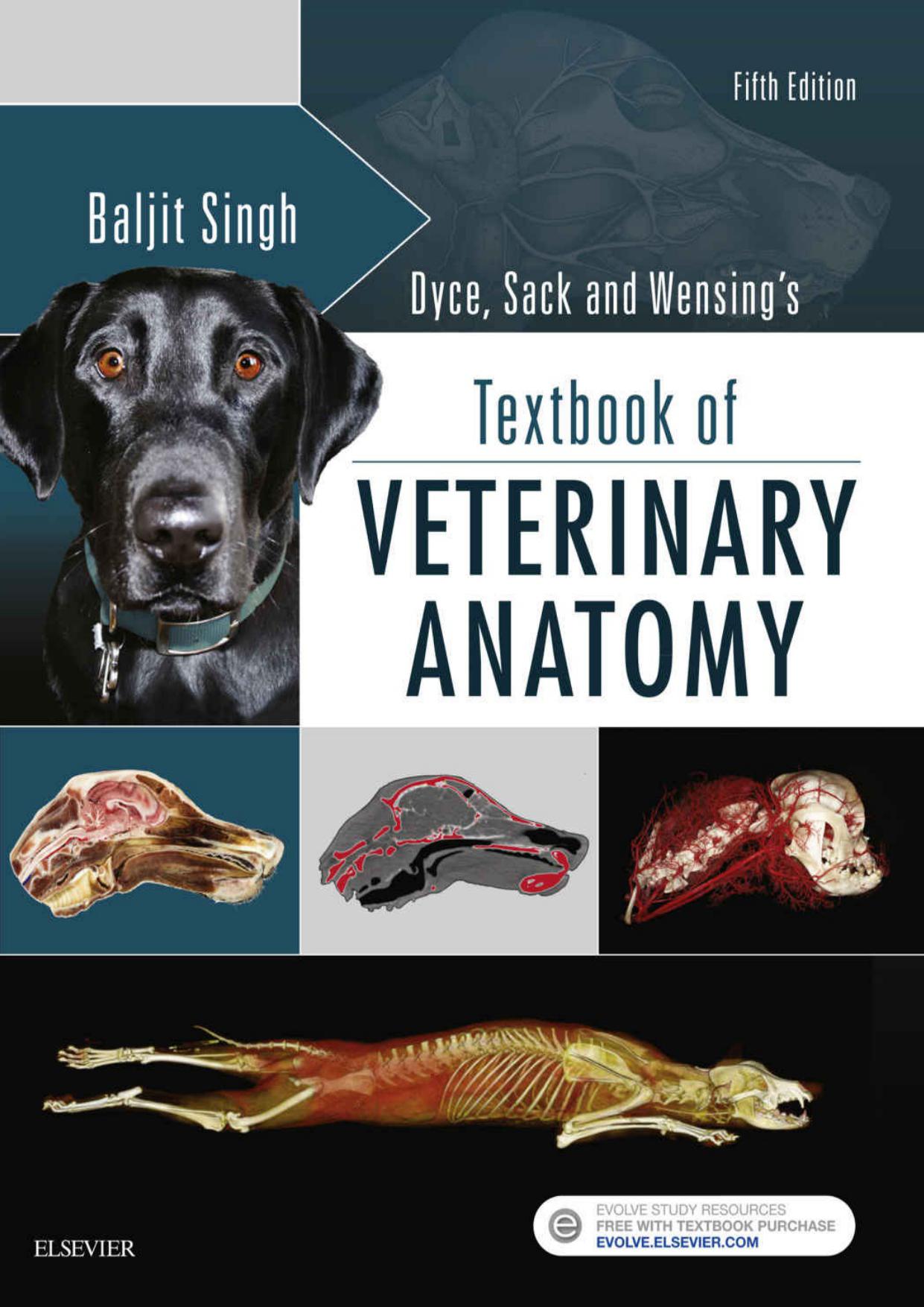 Dyce, Sack, and Wensing’s Textbook of Veterinary Anatomy