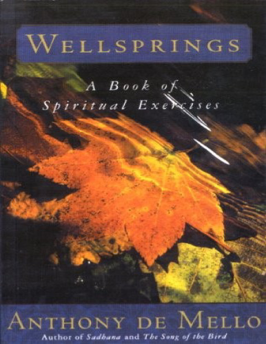 Awareness - Wellsprings : A Book of Spiritual Exercises