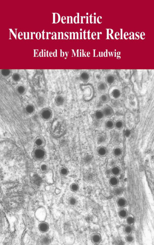 Dendritic neurotransmitter release