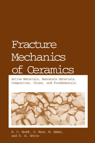 Fracture Mechanics of Ceramics: Active Materials, Nanoscale Materials, Composites, Glass, and Fundamentals (Fracture Mechanics of Ceramics, 14)