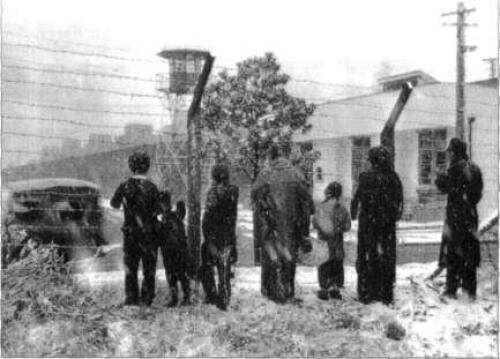 Embracing Defeat: Japan in the Wake of World War II