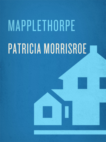 Mapplethorpe: a biography