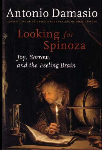 Looking for Spinoza: Joy,Sorrow and the Human Brain