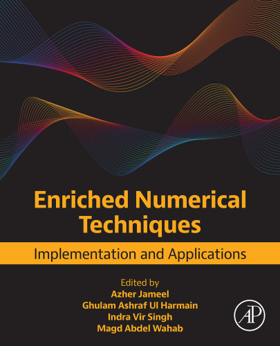 Enriched Numerical Techniques: Implementation and Applications