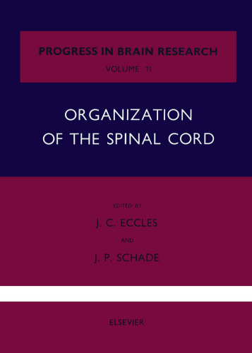 Organization of the Spinal Cord