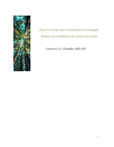 Positive Practices: From Stress to Strength