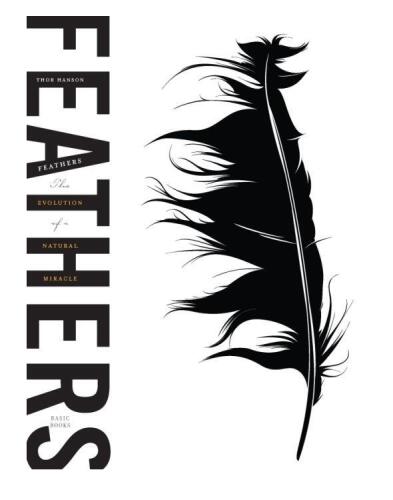 Feathers: The Evolution of a Natural Miracle