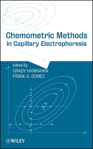 Chemometric Methods in Capillary Electrophoresis