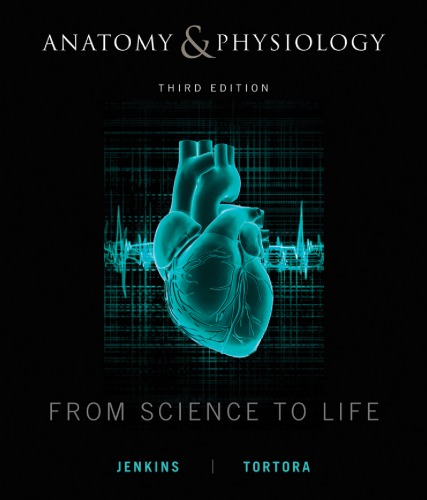 Anatomy and Physiology: From Science to Life