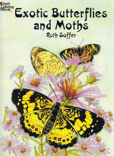 Exotic Butterflies and Moths (Dover Pictorial Archives)