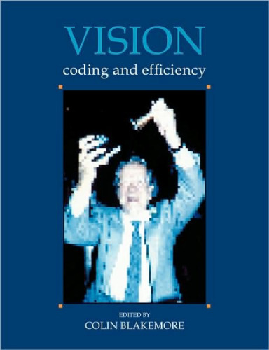 Vision: Coding and Efficiency